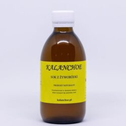 Kalanchoe 250 ml (szklana butelka)