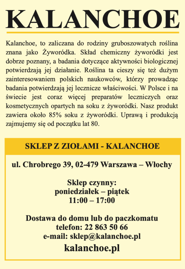Kalanchoe 200 ml - obrazek 2