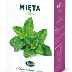 Mięta 30x2g